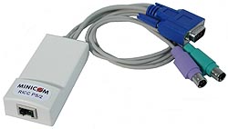 RICC PS/2, VGA